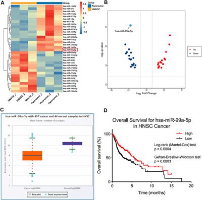 Plasma Extracellular Vesicles-Derived miR-99a-5p: A Potential Biomarker to Predict Early Head and Neck Squamous Cell Carcinoma